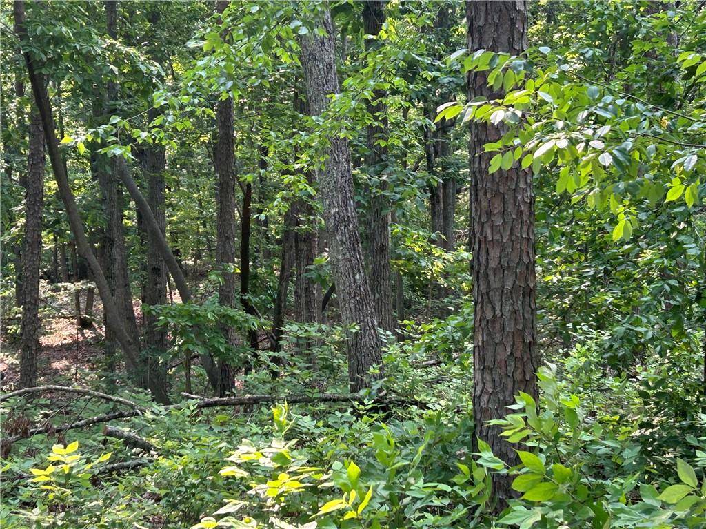 Canton, GA 30114,873 Pleasant Union RD
