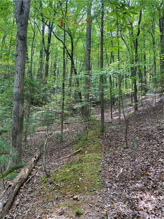 Ellijay, GA 30536,0 Valley View RD