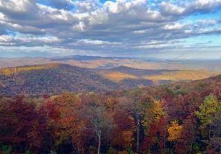 Jasper, GA 30143,Lot 03 Upper Sassafras Pkwy