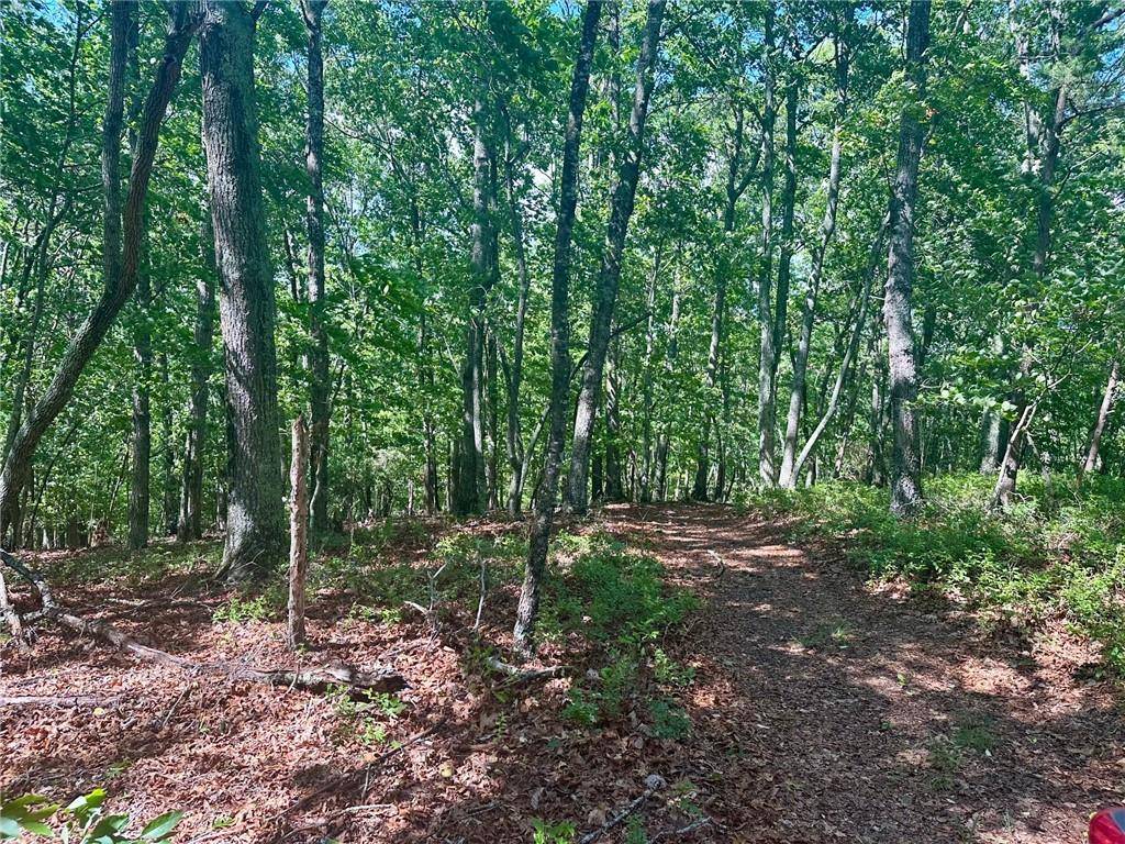 Dawsonville, GA 30534,0 Charlie Lemley RD