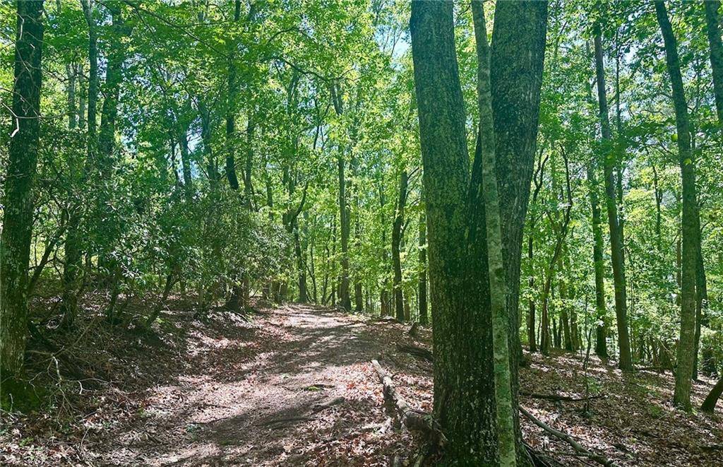 Dawsonville, GA 30534,0 Charlie Lemley RD