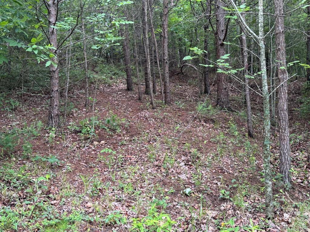 Ranger, GA 30734,575 Galaxy WAY NE