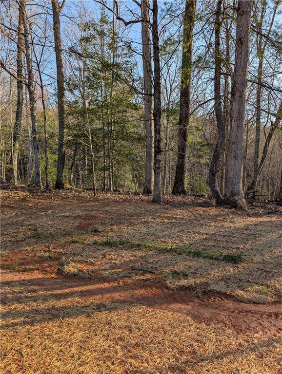 Dahlonega, GA 30533,0 Yahoola Road