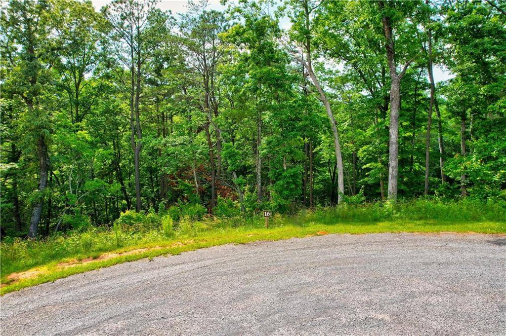 Ellijay, GA 30540,LOT 16 Lake Top LN
