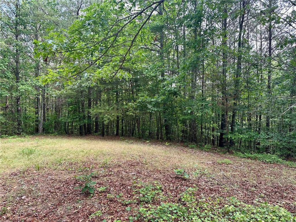 Dahlonega, GA 30533,10-/+ Freedom View Dr.