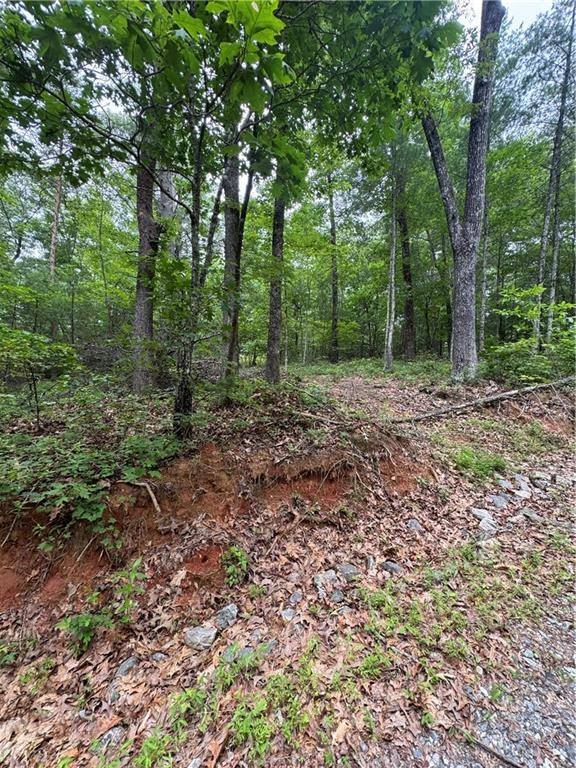 Dahlonega, GA 30533,0 Nimblewill Creek RD