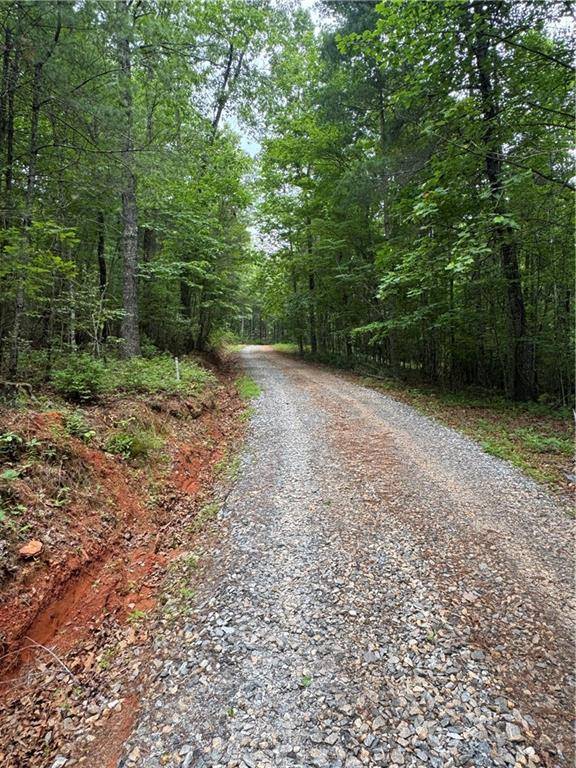 Dahlonega, GA 30533,0 Nimblewill Creek RD