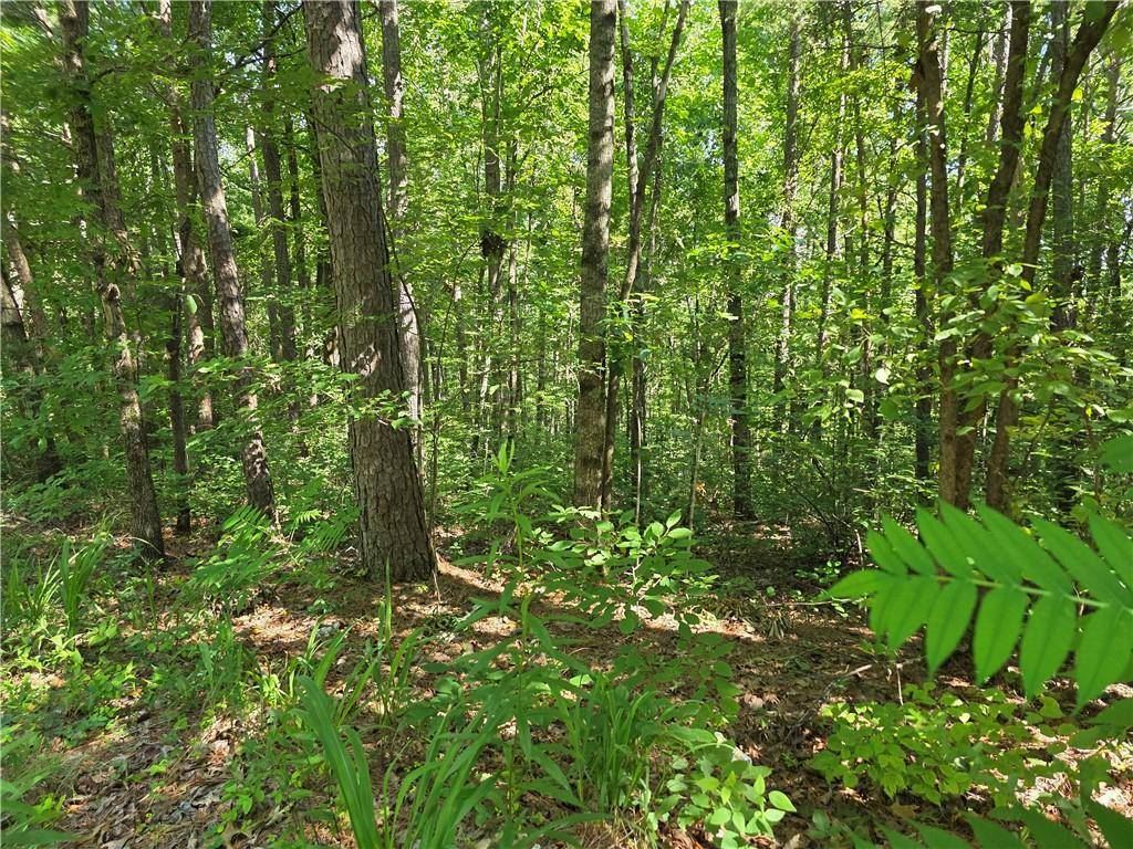 Ball Ground, GA 30107,0 Lawson Federal RD