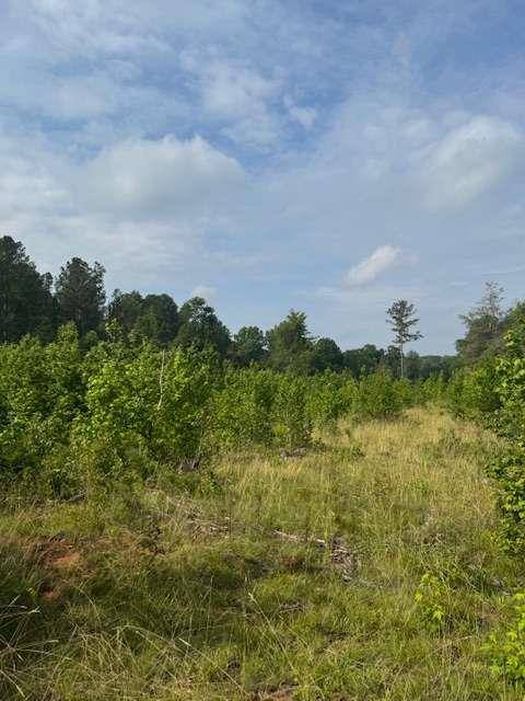 Watkinsville, GA 30677,0 Old Salem RD