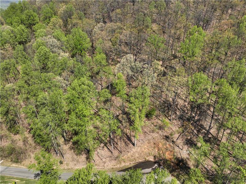 Cleveland, GA 30528,0 Stone Cliff TRCE