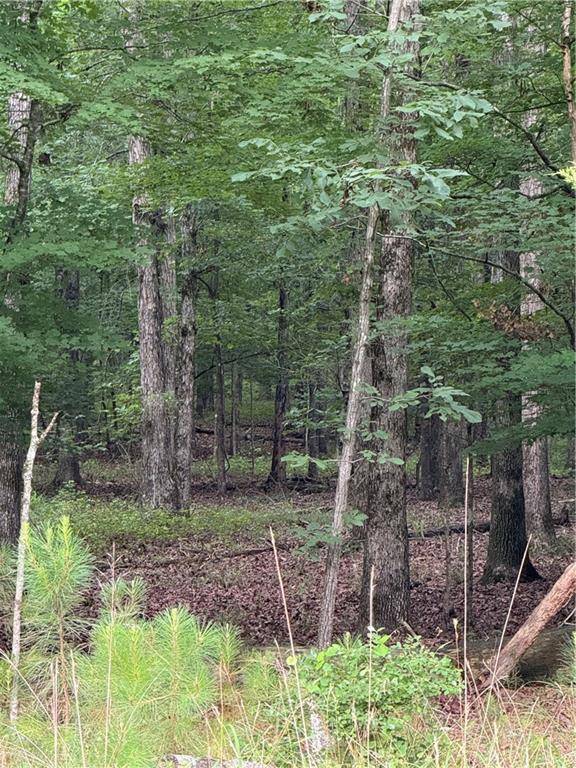 Calhoun, GA 30701,0 Culpepper RD NE