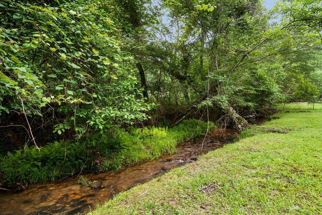 Blue Ridge, GA 30513,110 Old Indian TRL