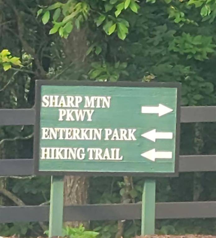 Jasper, GA 30143,161 Sharp Mountain Pkwy