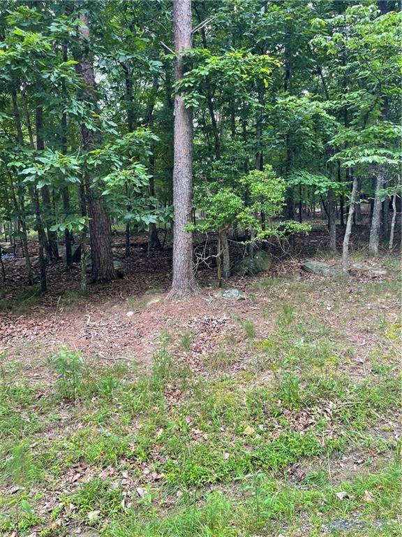 Waleska, GA 30183,133 Pawnee ST