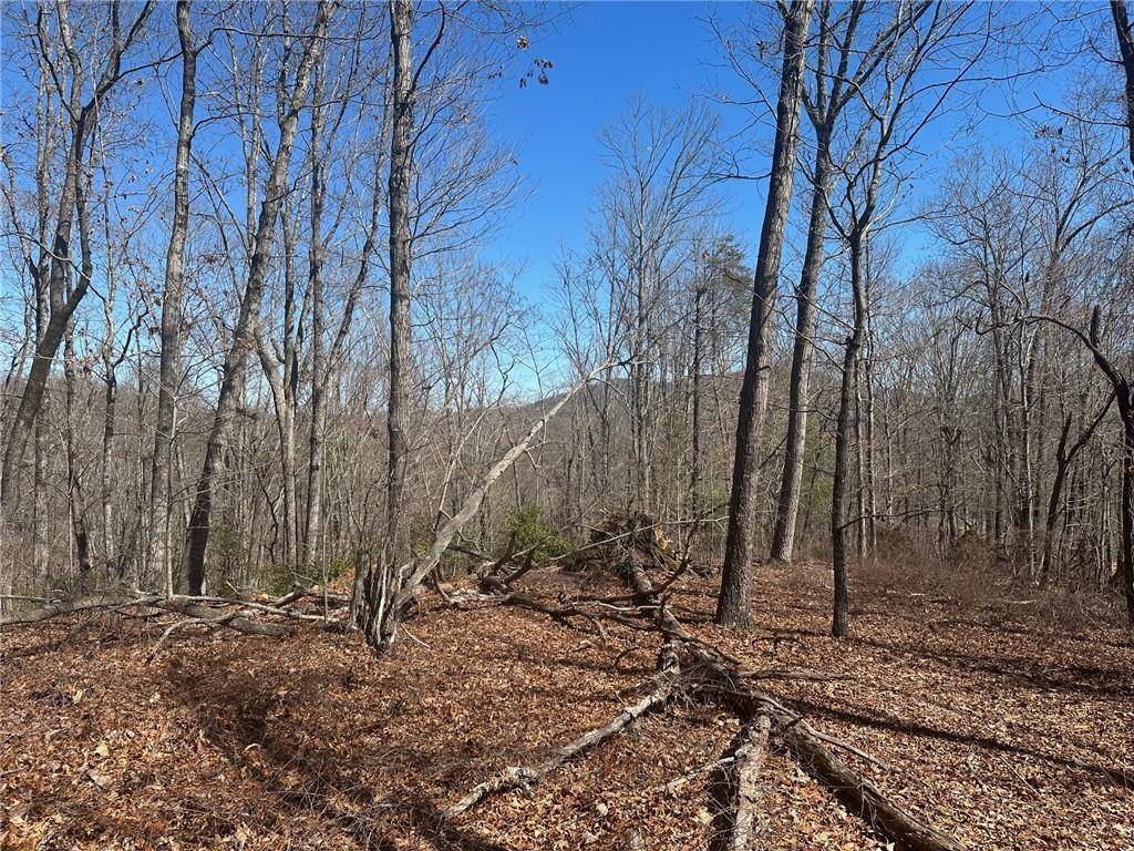 Murrayville, GA 30564,6.2 Mincey Acres DR