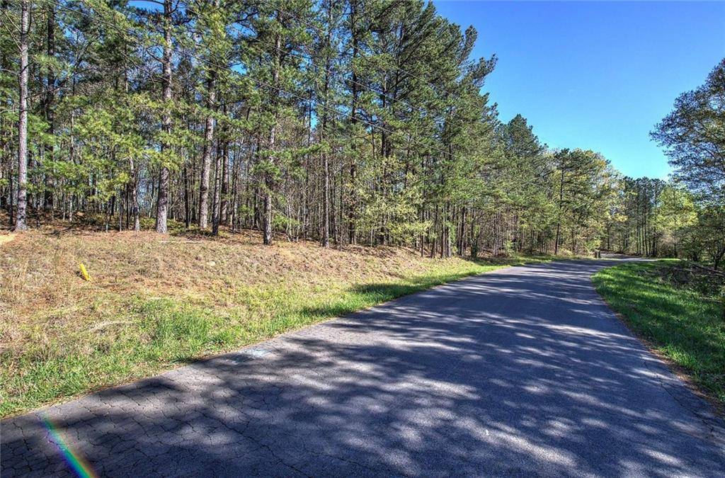 Buchanan, GA 30113,0 McKibben RD