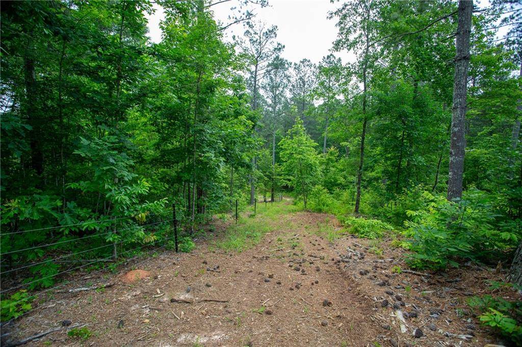 Dahlonega, GA 30533,6480A Highway 52 W