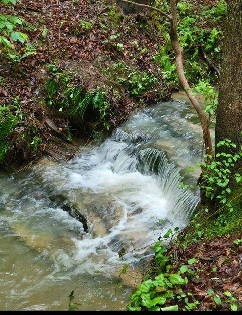 Rockmart, GA 30153,2 Brushy Mountain RD