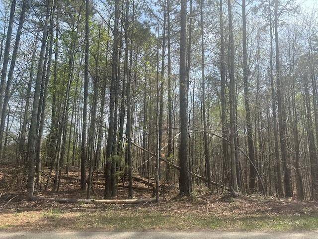 Dallas, GA 30132,TBD Cochran RD