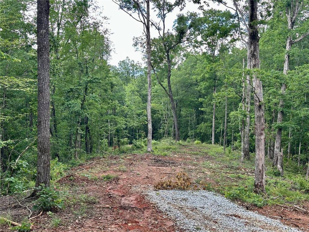 Dawsonville, GA 30534,4.09 Yancy DR