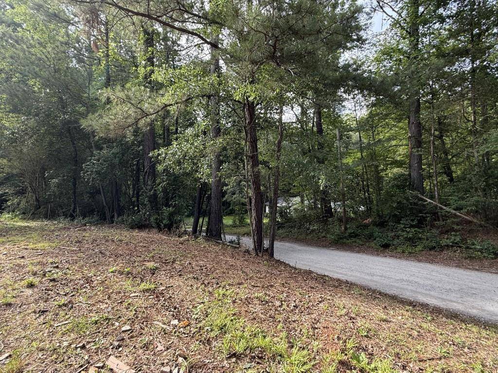 Winston, GA 30187,8759 Watkins Mill RD