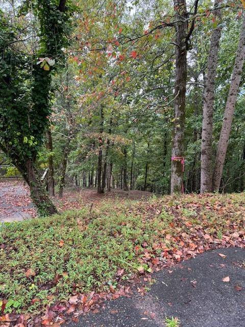 Sautee Nacoochee, GA 30571,0 Moon CIR
