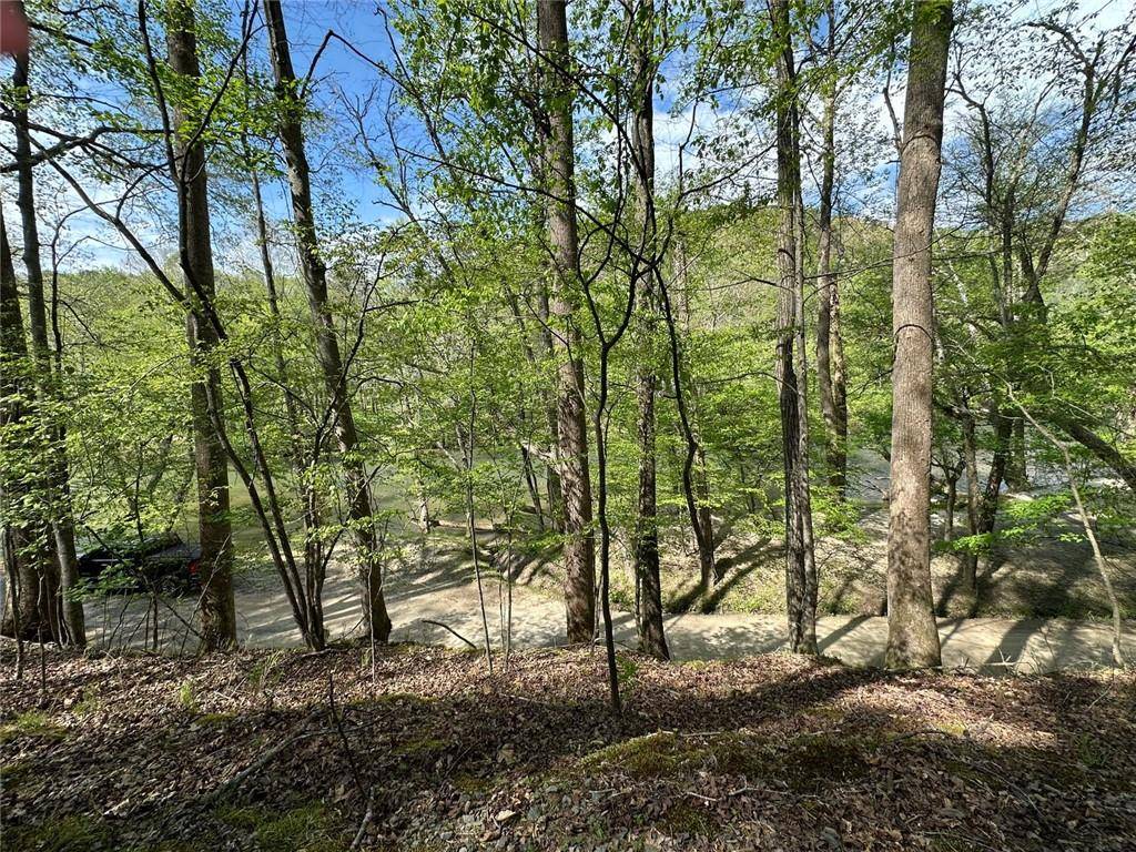 Ellijay, GA 30540,241 Cherokee Drive