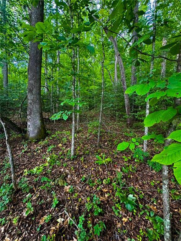 Dahlonega, GA 30533,0 Camp Wahsega Road