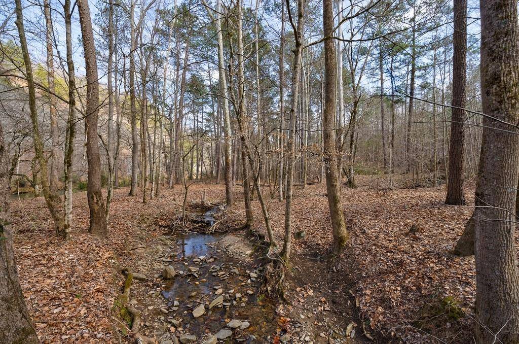 Ranger, GA 30734,0 Seqouyah Club DR