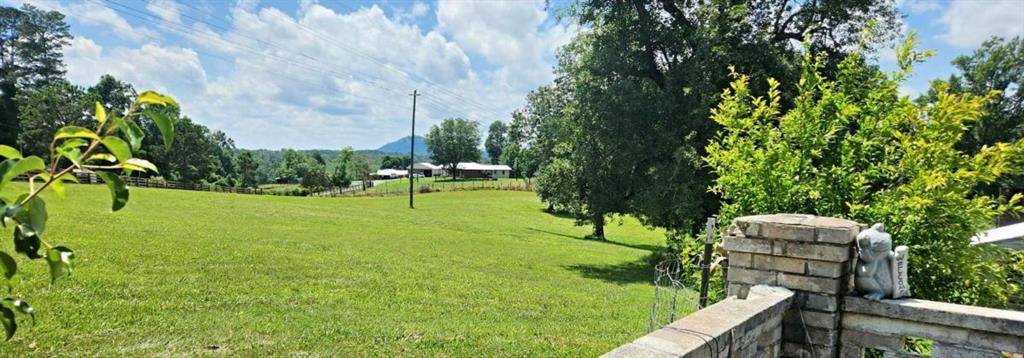 Eastanollee, GA 30538,160 Buena Vista DR