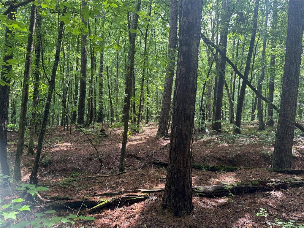 Hampton, GA 30228,0 Turner Rd