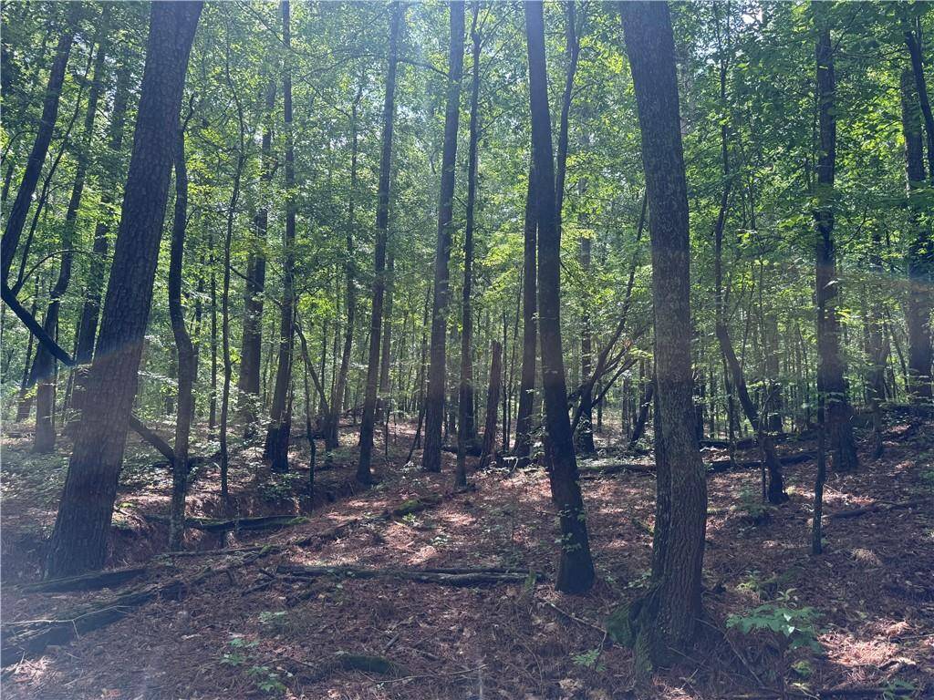 Hampton, GA 30228,0 Turner Rd