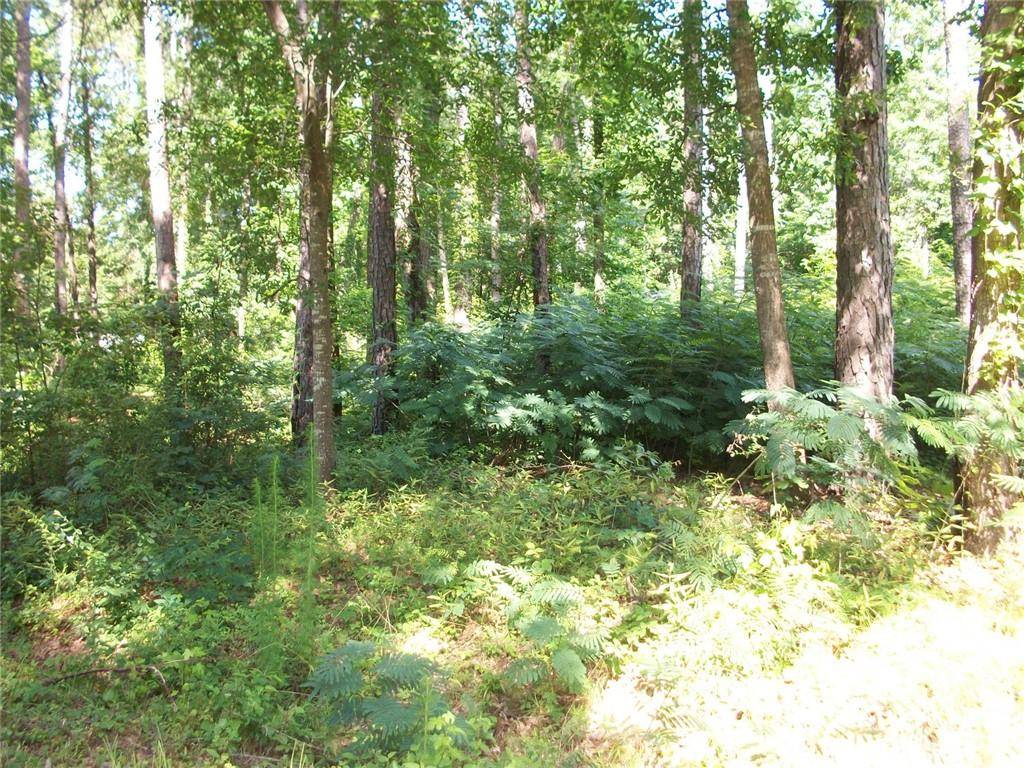 Jackson, GA 30233,43 Shady LN