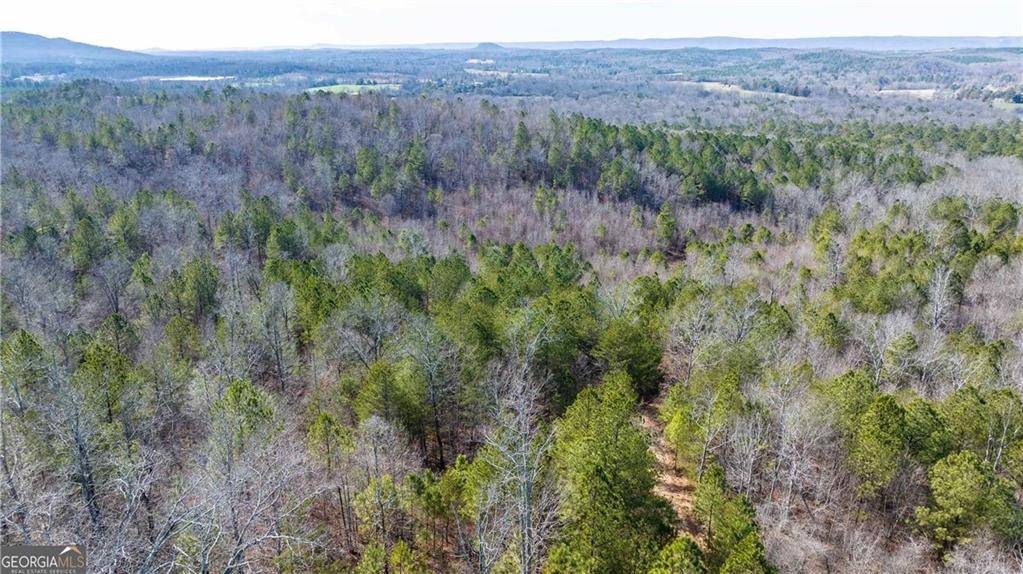 Summerville, GA 30747,0 Back Berryton RD