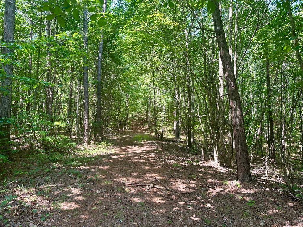 Dahlonega, GA 30533,1A Patriot View DR