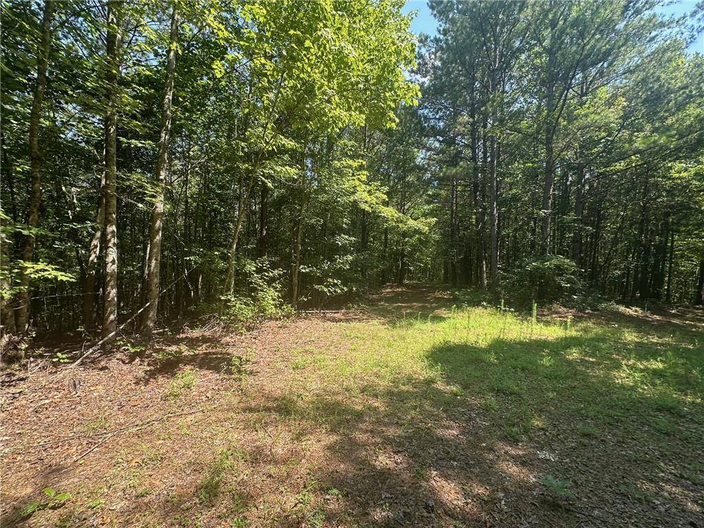 Dahlonega, GA 30533,1A Patriot View DR