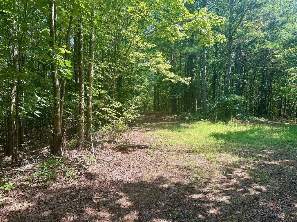 Dahlonega, GA 30533,1A Patriot View DR