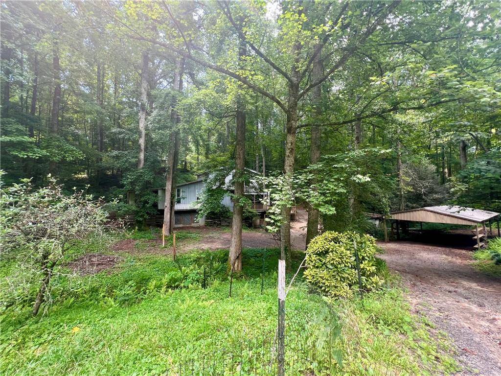 Ellijay, GA 30540,345 Banner CIR