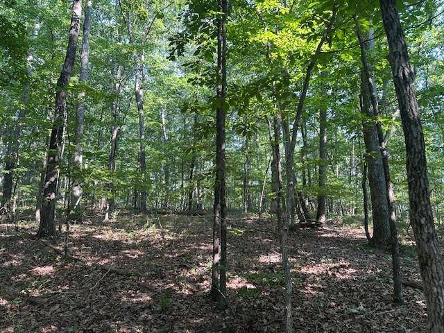 Ranger, GA 30734,0 Bear Mountain RD