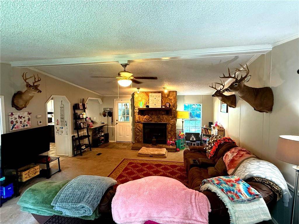 Cleveland, GA 30528,1570 Dean Mountain RD