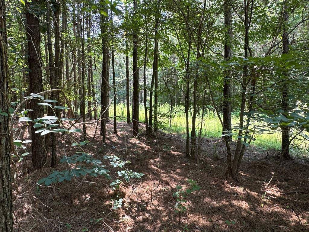 Adairsville, GA 30103,0 Highway 140 Tract D NW