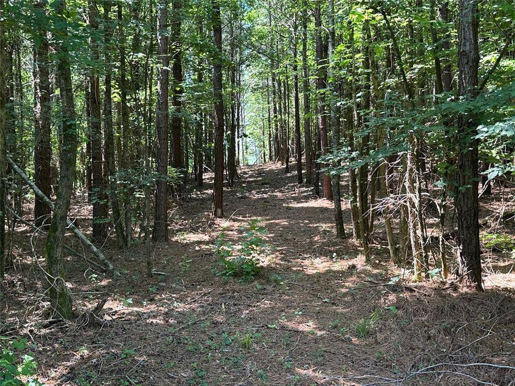 Adairsville, GA 30103,000 E Highway 140 NW