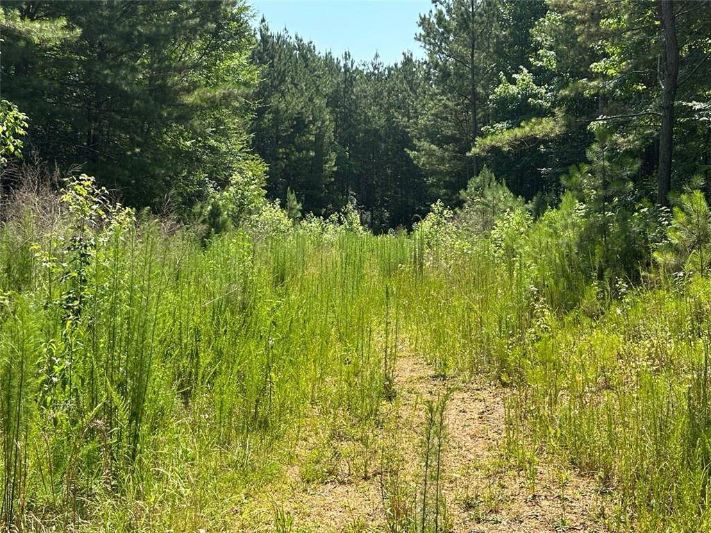 Adairsville, GA 30103,0 Highway 140 Tract E NW