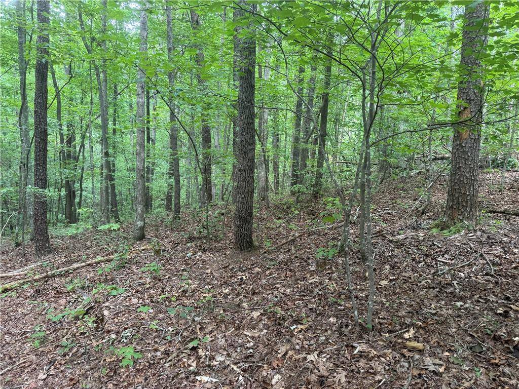 Dahlonega, GA 30533,00 Captain McDonald