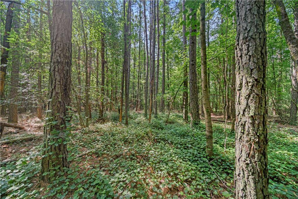 Commerce, GA 30530,Lot 8 Lord RD