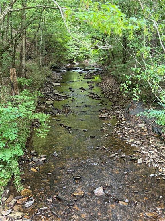 Talking Rock, GA 30175,1634 Carman Way