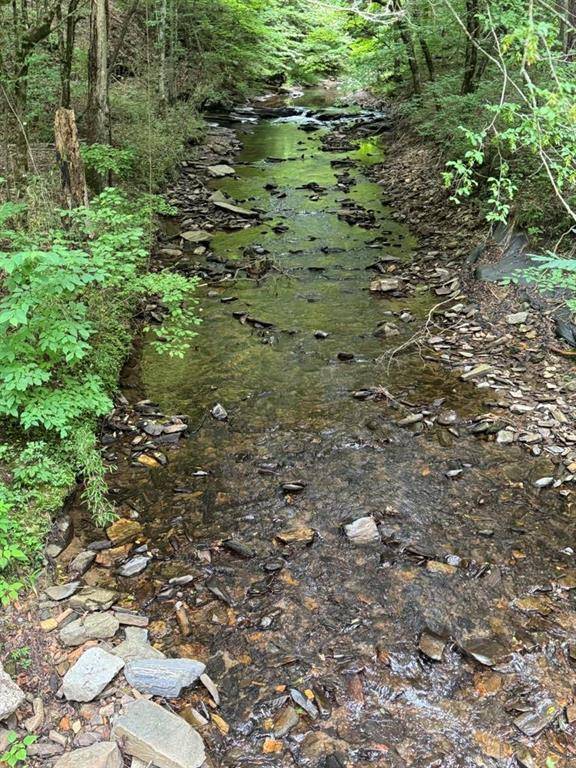 Talking Rock, GA 30175,1634 Carman Way