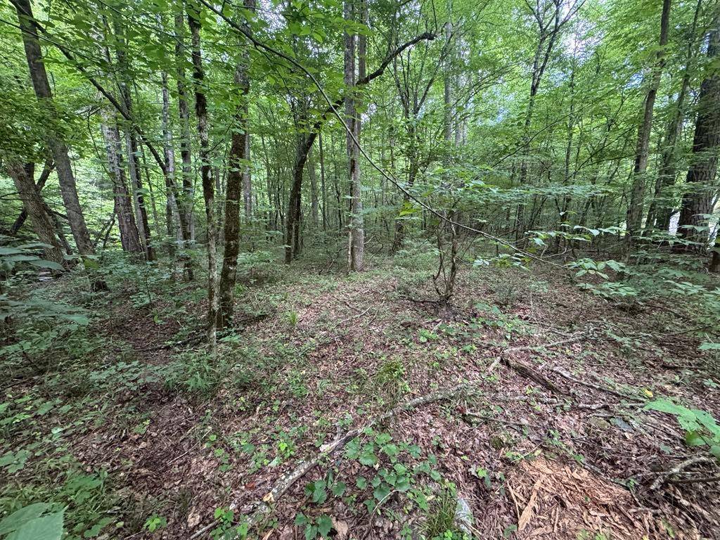 Talking Rock, GA 30175,1634 Carman Way