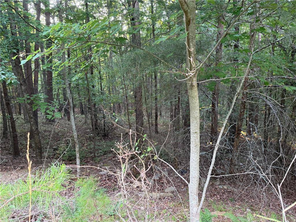 Jasper, GA 30143,281 Vista View Pkwy
