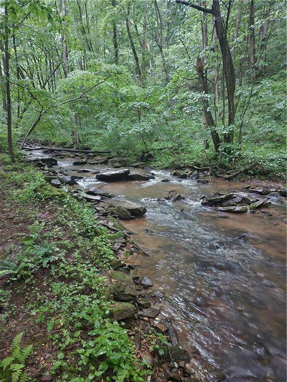 Ellijay, GA 30536,Lt 211 Northview Pkwy